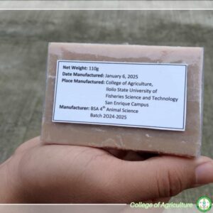 Animal Science Students Create Handcrafted Soap from Carabao Milk