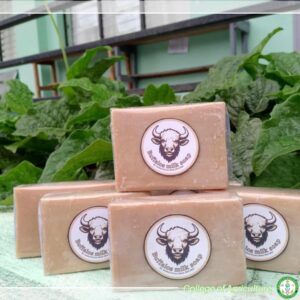 Animal Science Students Create Handcrafted Soap from Carabao Milk