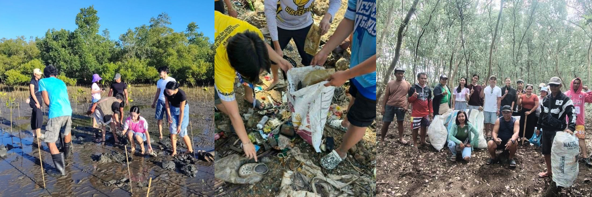 Beyond Coastal Cleanups: The Story of ISUFST’s Saving Banate Bay Project Beyond Coastal Cleanups: The Story of ISUFST’s Saving Banate Bay Project