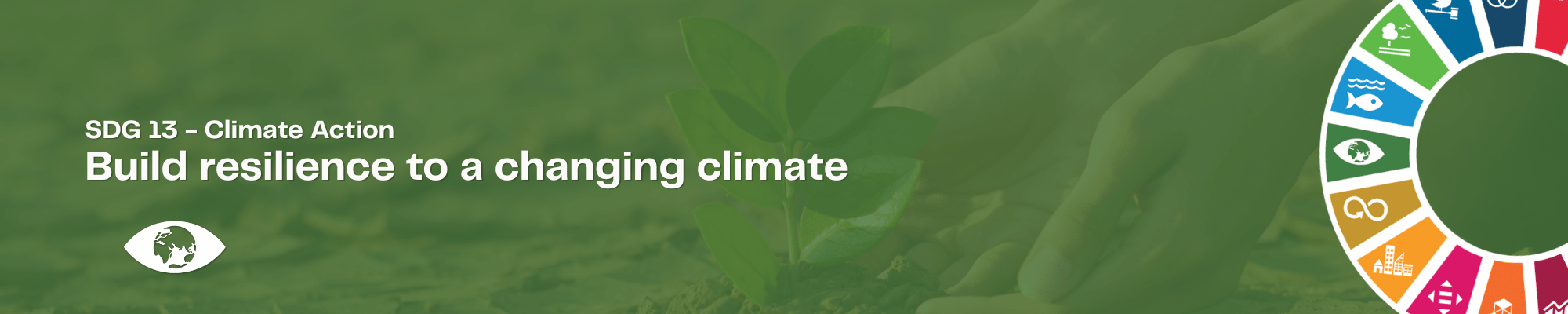 SDG13